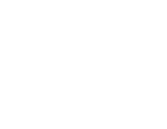 logo-Shandor